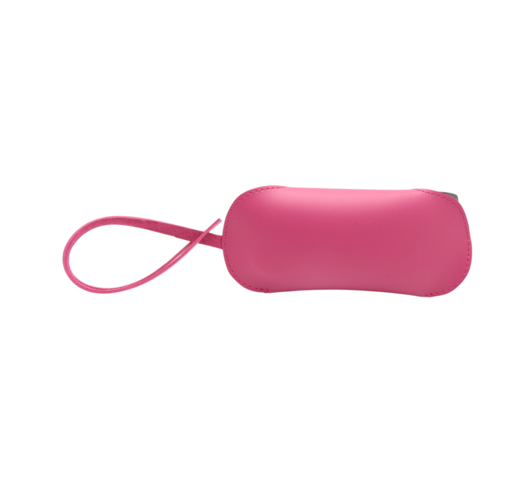 Momentum Glasses Case