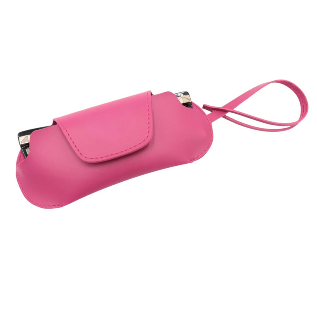 Momentum Glasses Case