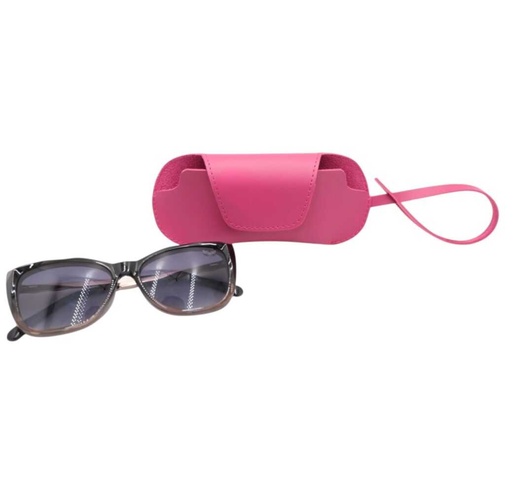 Momentum Glasses Case